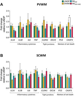 Investigating Pathways of Ventilation Induced Brain Injury on Cerebral White Matter Inflammation and Injury After 24 h in Preterm Lambs